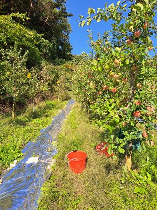 박수정님의 작성글 사진