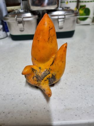 하예산방15926님의 자유주제 · 자유게시판 작성글 사진