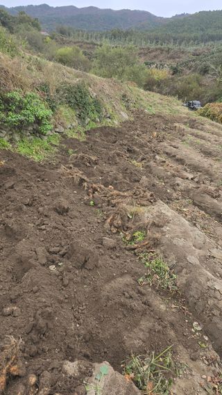 달빛소년(김광순)님의 자유주제 · 자유게시판 작성글 사진