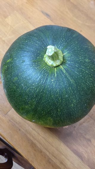 한밭농원님의 자유주제 · 자유게시판 작성글 사진