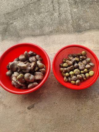 정석범님의 자유주제 · 자유게시판 작성글 사진