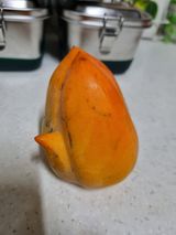 팜모닝 자유주제·자유게시판 게시글 이미지