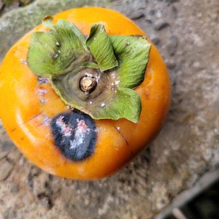 이창화님의 자유주제 · 자유게시판 작성글 사진