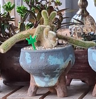 MSG0074님의 자유주제 · 자유게시판 작성글 사진