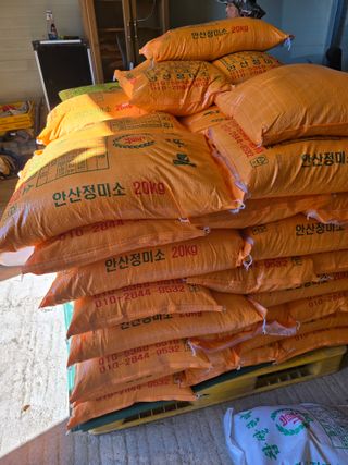 나주 박정화님의 벼 · 자유게시판 작성글 사진