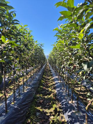 우리농원님의 자유주제 · 자유게시판 작성글 사진