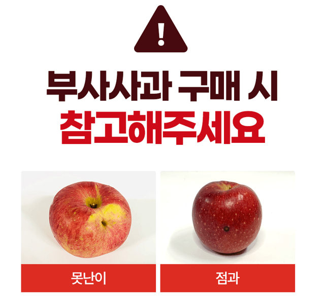 스피드번님의 장터 판매 상품 [(가정용) 부사사과 ] 첨부 사진