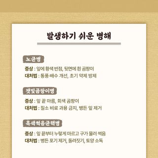 누보농장님의 자유주제 · 자유게시판 작성글 사진