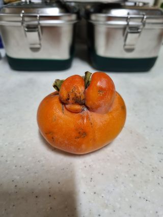 하예산방15926님의 자유주제 · 자유게시판 작성글 사진