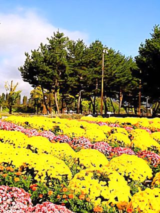 MSG0074님의 자유주제 · 자유게시판 작성글 사진