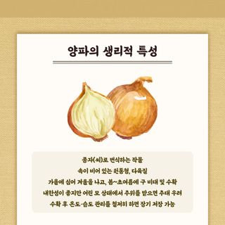 누보농장님의 자유주제 · 자유게시판 작성글 사진