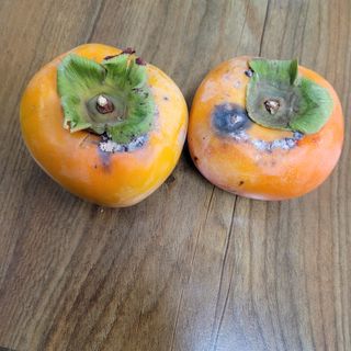 이창화님의 자유주제 · 자유게시판 작성글 사진