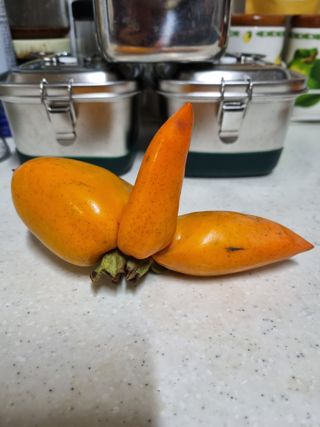 하예산방15926님의 자유주제 · 자유게시판 작성글 사진