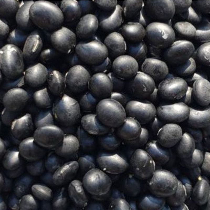 장터 상품 [토종납작서리태 26일자로마감] 썸네일