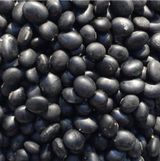 팜모닝 · 게시글 이미지