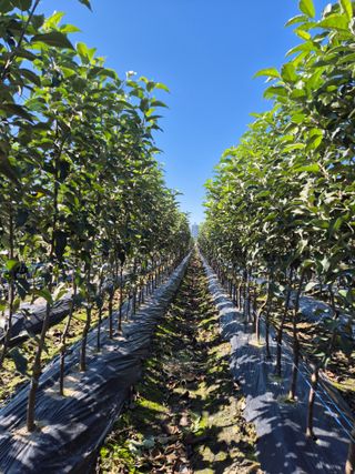 우리농원님의 자유주제 · 자유게시판 작성글 사진