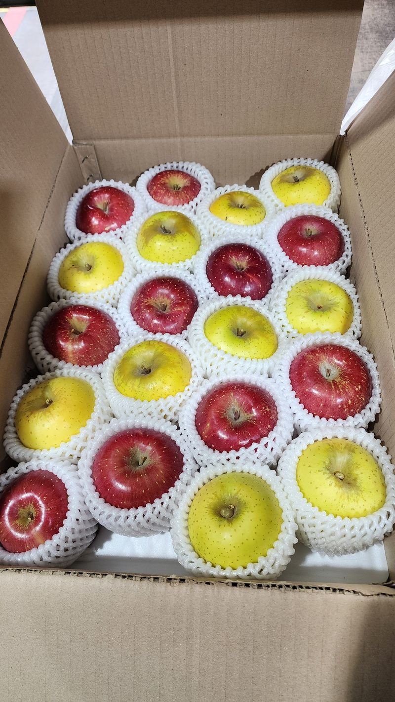 현등농원♡님의 장터 판매 상품 [25년 부사사과(5키로)] 첨부 사진