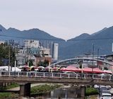 팜모닝 자유주제·자유게시판 게시글 이미지