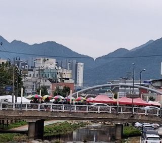 MSG0074님의 자유주제 · 자유게시판 작성글 사진