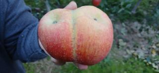 강동민님의 자유주제 · 자유게시판 작성글 사진