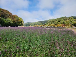 꿀복이농장님의 자유주제 · 자유게시판 작성글 사진