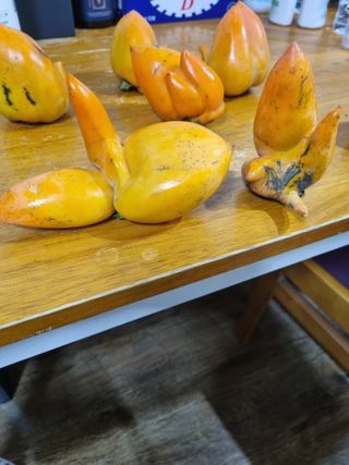 하예산방15926님의 자유주제 · 자유게시판 작성글 사진