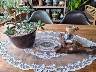 MSG0074님의 자유주제 · 자유게시판 작성글 사진