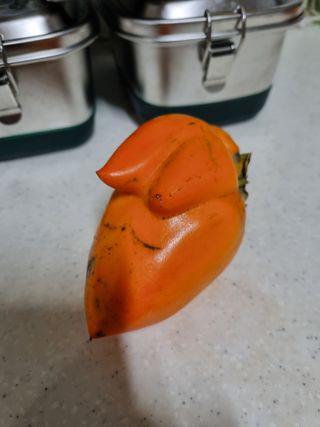 하예산방15926님의 자유주제 · 자유게시판 작성글 사진