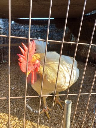 박린님의 자유주제 · 자유게시판 작성글 사진