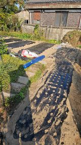 팜모닝 자유주제·자유게시판 게시글 이미지