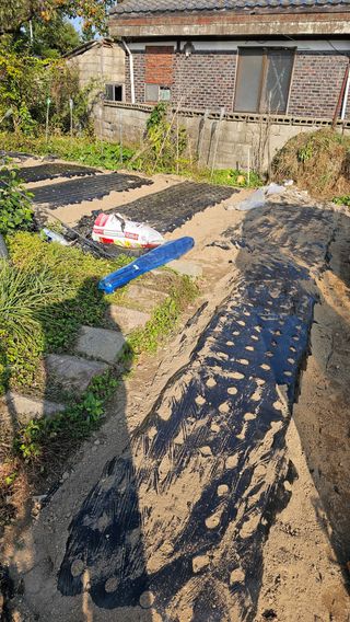 삼례텃밭지기님의 자유주제 · 자유게시판 작성글 사진