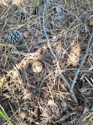 지대식님의 자유주제 · 자유게시판 작성글 사진