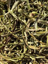 팜모닝 · 게시글 이미지