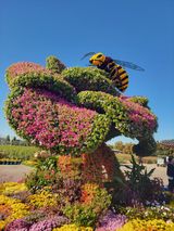 팜모닝 자유주제·자유게시판 게시글 이미지