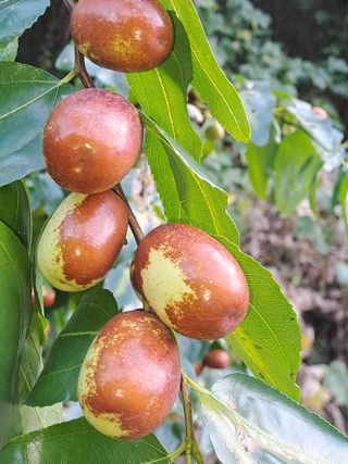 박성기님의 작성글 사진