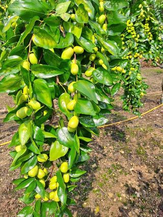 박성기님의 작성글 사진