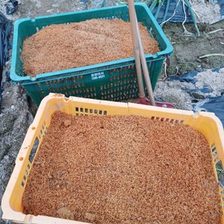 삼성농산님의 자유주제 · 자유게시판 작성글 사진