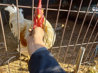 박린님의 자유주제 · 자유게시판 작성글 사진