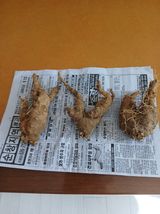 팜모닝 자유주제·자유게시판 게시글 이미지