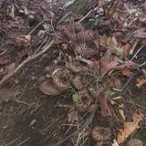 팜모닝 자유주제·자유게시판 게시글 이미지