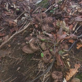 무진장UDT님의 자유주제 · 자유게시판 작성글 사진