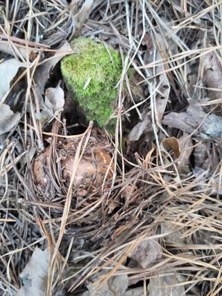 지대식님의 자유주제 · 자유게시판 작성글 사진