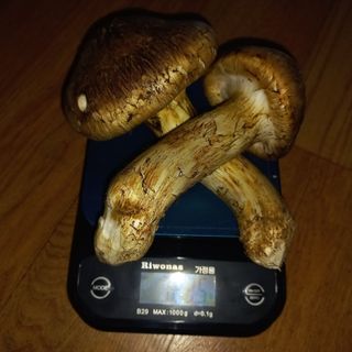 무진장UDT님의 자유주제 · 자유게시판 작성글 사진