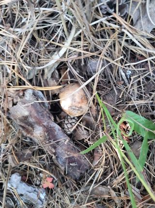 지대식님의 자유주제 · 자유게시판 작성글 사진