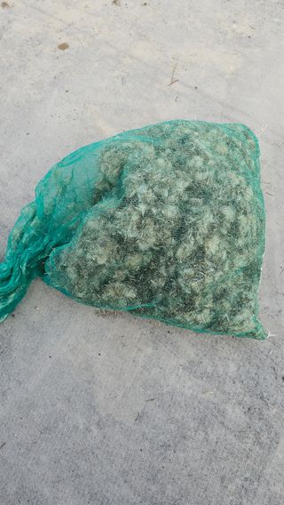 삼례텃밭지기님의 자유주제 · 자유게시판 작성글 사진