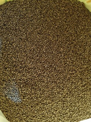 김동희님의 작성글 사진