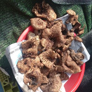 무진장UDT님의 자유주제 · 자유게시판 작성글 사진