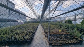 양경호님의 자유주제 · 자유게시판 작성글 사진