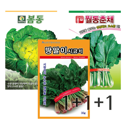 장터 상품 [월동채소씨앗 3종세트 시금치 봄동배추 월공춘채(유채나물)] 썸네일