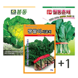 팜모닝 · 게시글 이미지